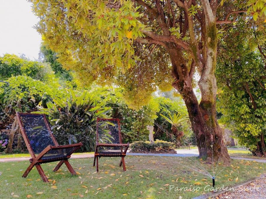 Paraiso Garden Suite--- Spacious & Downtown بورتو المظهر الخارجي الصورة